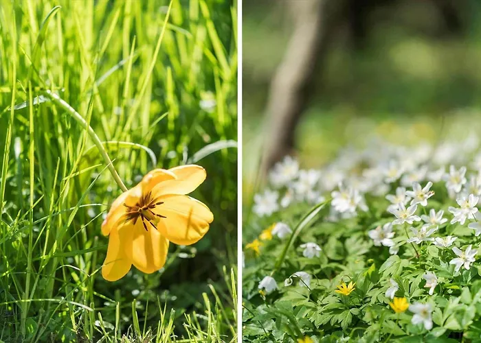 20863-ulfborg-sundhuse-19-a